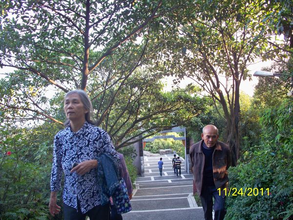 2011年11月24日